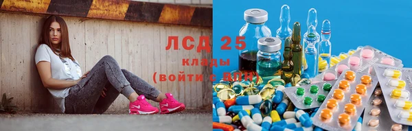 Альфа ПВП Аркадак