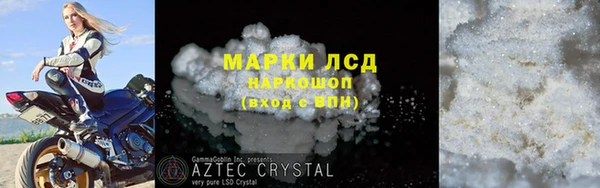 прущие грибы Арсеньев