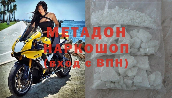 прущие грибы Арсеньев