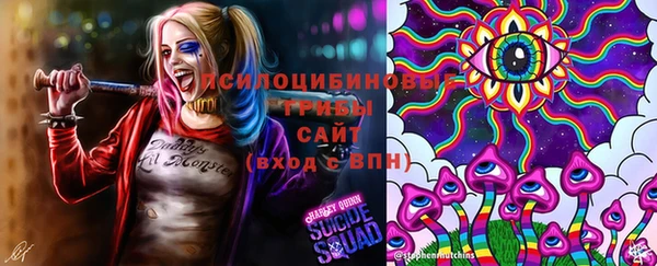 прущие грибы Арсеньев